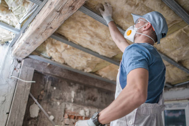 Best Commercial Insulation in Maysville, KY