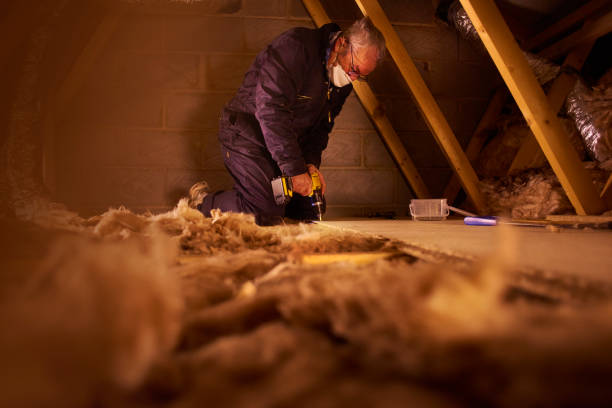 Best DIY Insulation Kits and Guidance in Maysville, KY